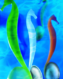 Household Products Household Products